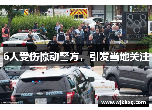 6人受伤惊动警方，引发当地关注